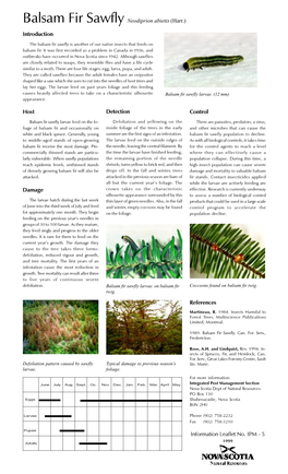 Balsam Fir Sawfly Neodiprion Abietis (Harr.) Introduction