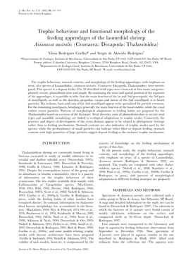 Trophic Behaviour and Functional Morphology of the Feeding Appendages of the Laomediid Shrimp Axianassa Australis (Crustacea: De