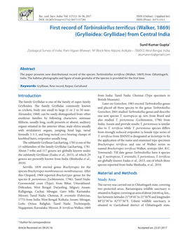 First Record of Tarbinskiellus Terrificus (Walker, 1869) (Grylloidea: Gryllidae) from Central India