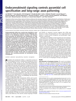 Endocannabinoid Signaling Controls Pyramidal Cell Specification and Long-Range Axon Patterning