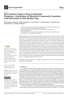 Rock Surface Fungi in Deep Continental Biosphere—Exploration of Microbial Community Formation with Subsurface in Situ Biofilm