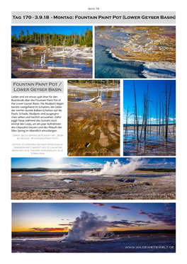 Fountain Paint Pot [Lower Geyser Basin]