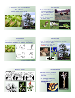 Carnivorous and Parasitic-2