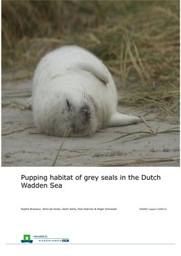 Pupping Habitat of Grey Seals in the Dutch Wadden Sea