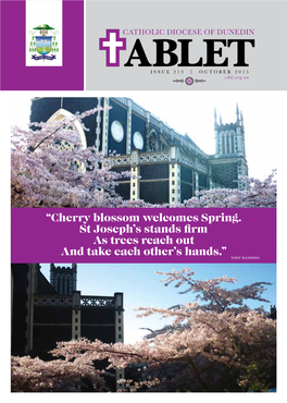 Cherry Blossom Welcomes Spring. St Joseph’S Stands Firm As Trees Reach Out