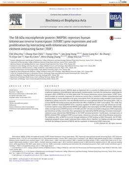 Represses Human Telomerase Reverse Transcriptase (Htert)