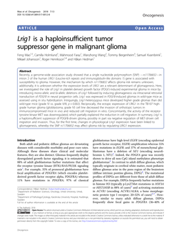 Lrig1 Is a Haploinsufficient Tumor Suppressor Gene in Malignant Glioma