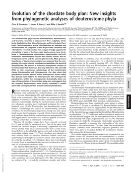 Evolution of the Chordate Body Plan: New Insights from Phylogenetic Analyses of Deuterostome Phyla