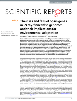 The Rises and Falls of Opsin Genes in 59 Ray-Finned Fish Genomes And