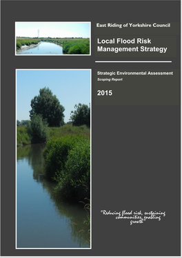 Local Flood Risk Management Strategy 2015