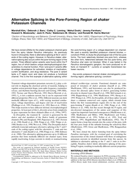 Alternative Splicing in the Pore-Forming Region of Shaker Potassium Channels