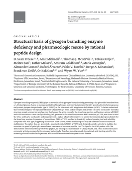 Structural Basis of Glycogen Branching Enzyme Deficiency And