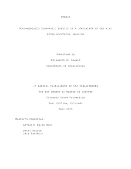 Thesis Wood-Mediated Geomorphic Effects of A