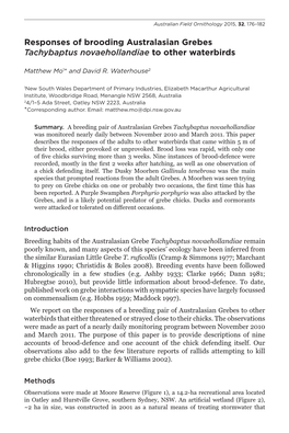 Responses of Brooding Australasian Grebes Tachybaptus Novaehollandiae to Other Waterbirds