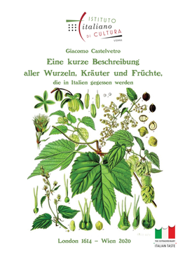 Warum Die Italiener Mehr Gemüse Und Obst Als Fleisch Essen