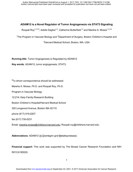 ADAM12 Is a Novel Regulator of Tumor Angiogenesis Via STAT3 Signaling