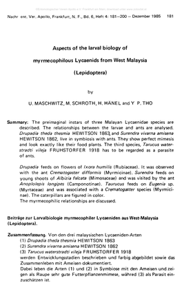 Aspects of the Larval Biology of Myrmecophilous