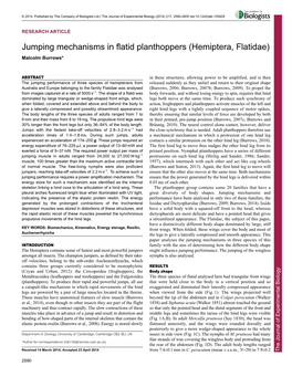 Jumping Mechanisms in Flatid Planthoppers (Hemiptera, Flatidae)