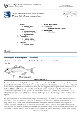 FAO Fisheries & Aquaculture