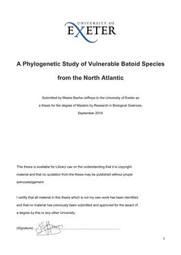 A Phylogenetic Study of Vulnerable Batoid Species from the North Atlantic