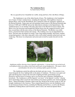 The Andalusian Horse by Sarah Gately-Wilson