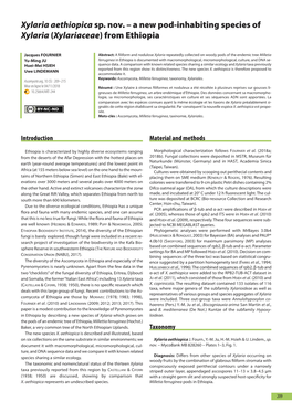 A New Pod-Inhabiting Species of Xylaria (Xylariaceae) from Ethiopia