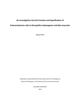 An Investigation Into the Function and Specification of Enteroendocrine Cells in Drosophila Melanogaster and Mus Musculus