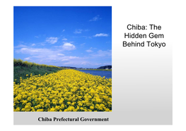 Chiba: the Hidden Gem Behind Tokyo