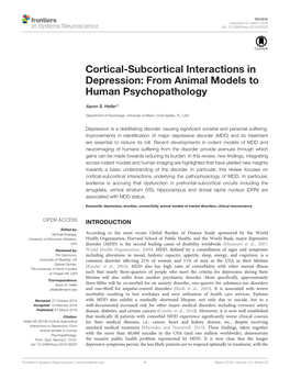Cortical-Subcortical Interactions in Depression: from Animal Models to Human Psychopathology