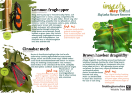 7 SKYLARKS Factsheet Insects (For Print).Pdf