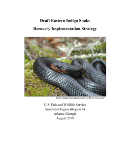 Draft Eastern Indigo Snake Recovery Implementation Strategy