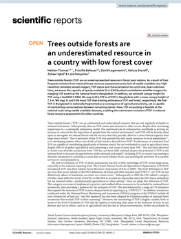 Trees Outside Forests Are an Underestimated Resource in A