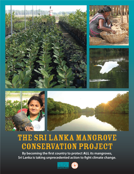 The Sri Lanka Mangrove Conservation