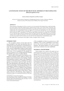 A SYSTEMATIC STUDY of the BRAIN BASE ARTERIES in the PAMPAS FOX (Dusicyon Gymnocercus)