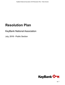 Resolution Plan - Public Section