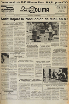 Sarh: Bajará La Producción De Miel, En 89