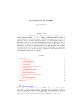 THE TOPOLOGY of MAGMAS Introduction a Magma Is an Algebraic Structure (S, F) Consisting of an Underlying Set S and a Single Bina