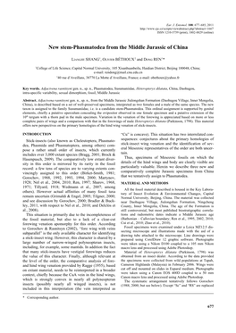 New Stem-Phasmatodea from the Middle Jurassic of China