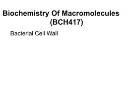 Biochemistry of Macromolecules (BCH417) Bacterial Cell Wall Learning Objectives for Today