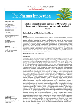 Studies on Identification and Uses of Morus Alba