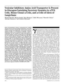 Vesicular Inhibitory Amino Acid Transporter Is Present In