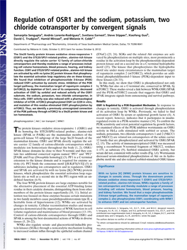 Regulation of OSR1 and the Sodium, Potassium, Two Chloride Cotransporter by Convergent Signals