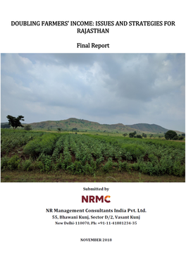 DOUBLING FARMERS' INCOME: ISSUES and STRATEGIES for RAJASTHAN Final Report