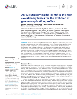 An Evolutionary Model Identifies the Main Evolutionary Biases for the Evolution of Genome- Replication Profiles