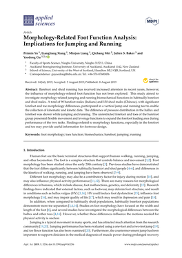 Morphology-Related Foot Function Analysis: Implications for Jumping and Running