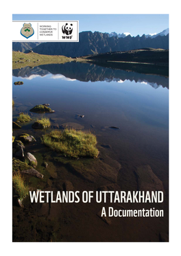 WETLANDS of UTTARAKHAND a Documentation This Report Is a Collaborative Effort of –