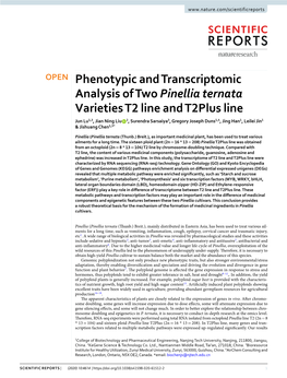 Phenotypic and Transcriptomic Analysis of Two Pinellia Ternata