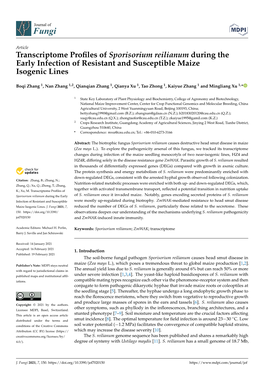 Transcriptome Profiles of Sporisorium Reilianum During the Early Infection