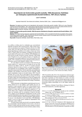 Depredación De Centruroides Gracilis (Latreille, 1804) (Scorpiones: Buthidae) Por Osteopilus Septentrionalis Duméril & Bibron, 1841 (Anura: Hylidae)