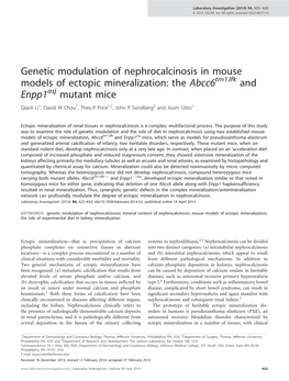 Genetic Modulation of Nephrocalcinosis in Mouse